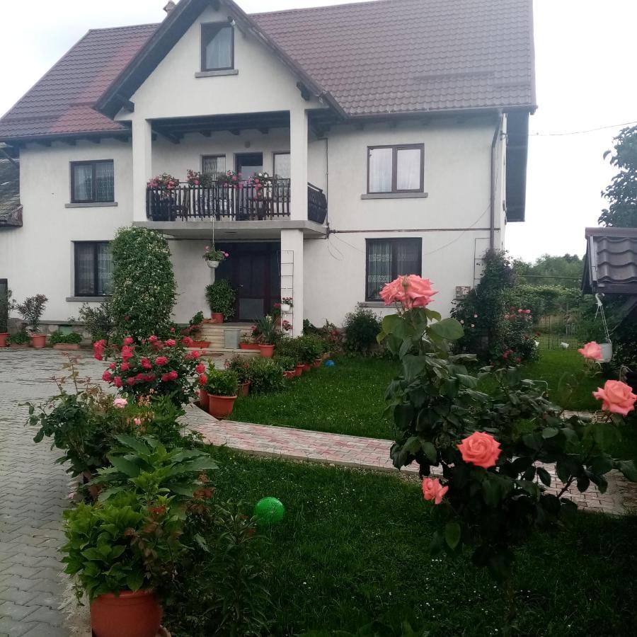 Hotel Casa Cornelia Bran  Exterior foto